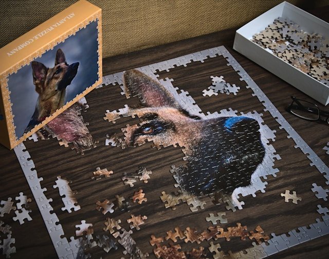The Ultimate Guide to Jigsaw Puzzles for Beginners 5 A half-completed jigsaw puzzle with the border fully assembled